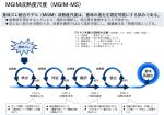 意味ズレ統合モデル成熟度尺度（MGIM-MS） | 意味の進化を測定して組織進化を再現可能にするモデル