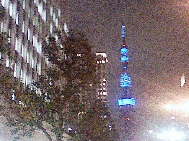 ブルーにライトアップされた東京タワー、国連が定めた「世界糖尿病デー」